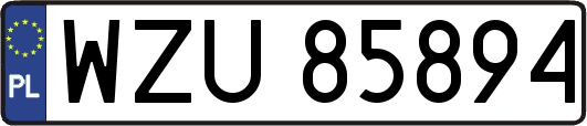 WZU85894