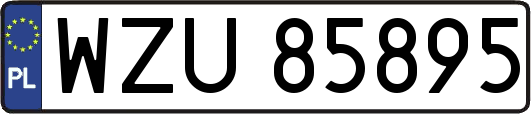 WZU85895