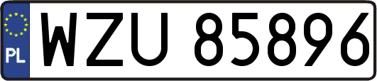 WZU85896