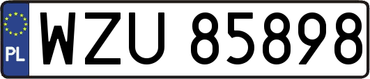 WZU85898