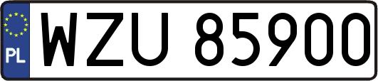 WZU85900
