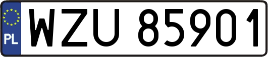 WZU85901