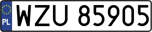 WZU85905