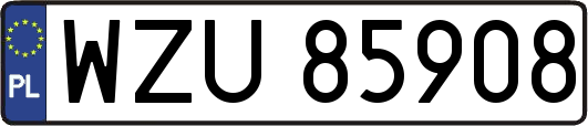 WZU85908