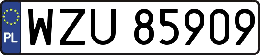 WZU85909
