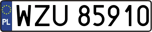 WZU85910