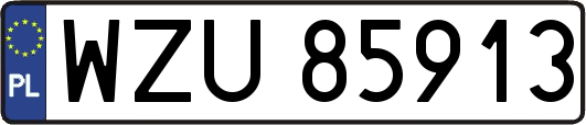 WZU85913