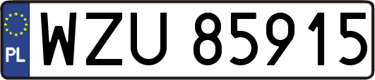 WZU85915