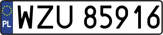 WZU85916