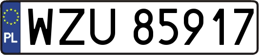 WZU85917
