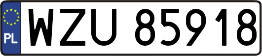 WZU85918