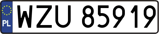 WZU85919