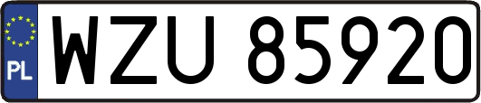 WZU85920