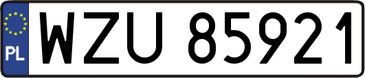 WZU85921
