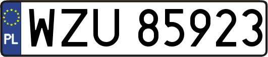WZU85923