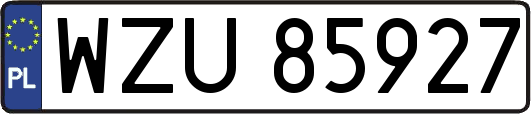 WZU85927