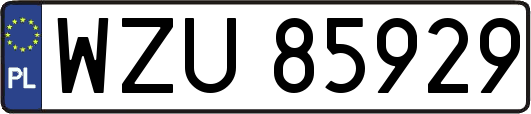 WZU85929