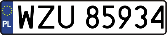 WZU85934