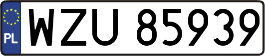 WZU85939