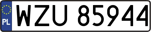 WZU85944