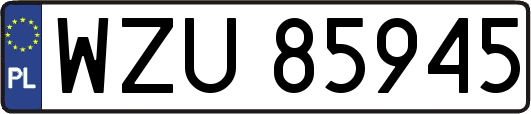 WZU85945