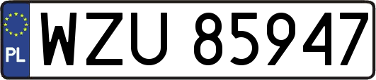 WZU85947