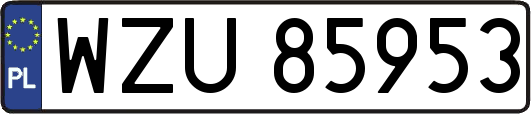 WZU85953