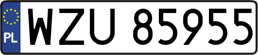 WZU85955