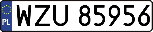 WZU85956