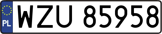 WZU85958
