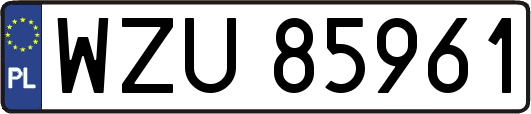 WZU85961