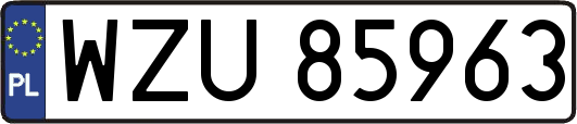 WZU85963