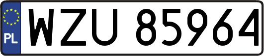 WZU85964