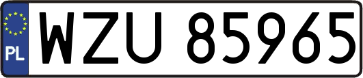 WZU85965