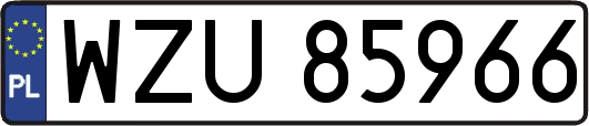 WZU85966