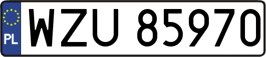 WZU85970