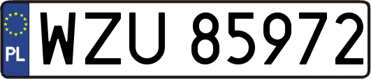 WZU85972