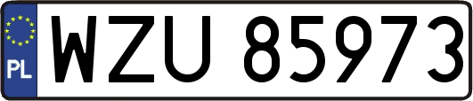 WZU85973