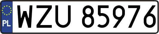 WZU85976