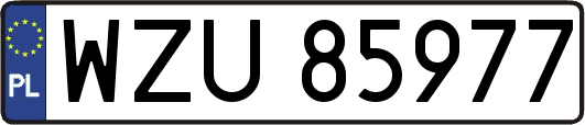 WZU85977