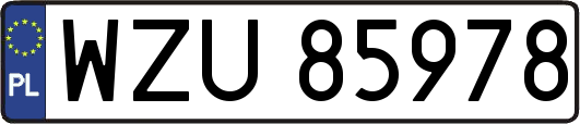 WZU85978