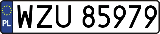 WZU85979