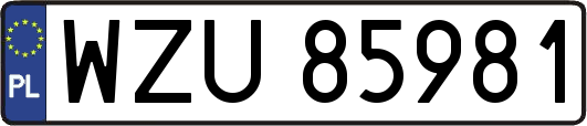 WZU85981