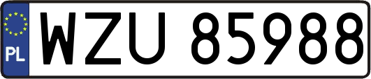 WZU85988