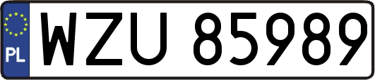 WZU85989