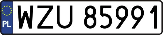 WZU85991