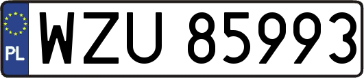WZU85993