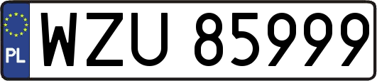 WZU85999