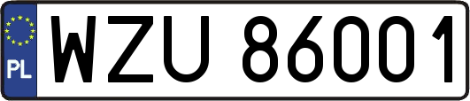 WZU86001