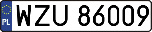 WZU86009